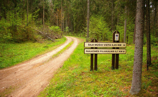 Nuorodos dviračių trasoje 1.jpg